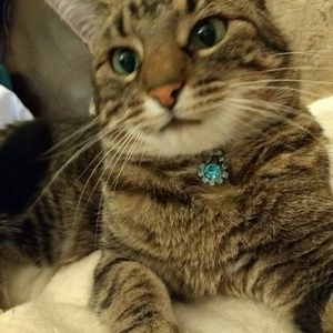 Bundles of Awesomeness